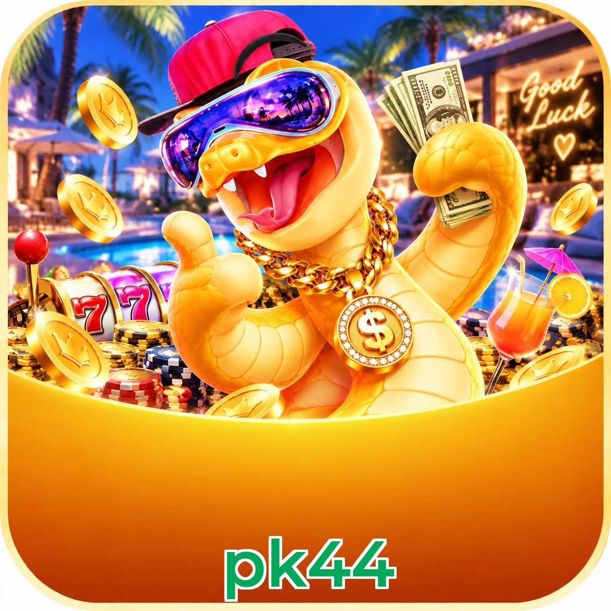 pk44 Plataforma FAQ
